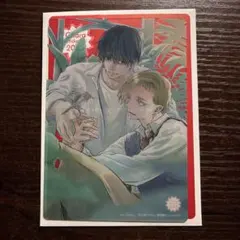 ルームメイト　クリアカード キャラ　バースデーフェア　2025 Chara