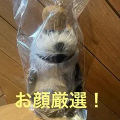 パペットスンスン ポップアップストア ゾンゾン 公式 ぬいぐるみ