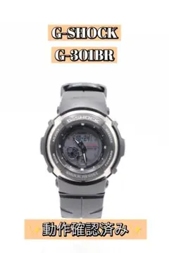 ✨ 동작 확인됨 ✨ CASIO G-SHOCK G-301BR