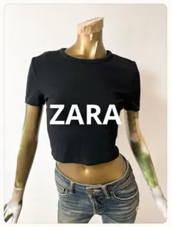 ☘️T22041☘️ZARA 半袖 ショート Tシャツ トップス M
