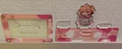 カラフルピーチ　からぴち　Tカード　アクリルスタンド　アクスタ　のあ