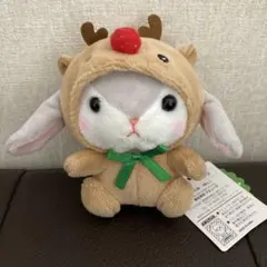 2026年最新】ぽてうさろっぴー クリスマスノエルの人気アイテム - メルカリ