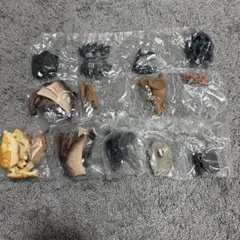 恐竜 フィギュア 가챠 묶음 판매
