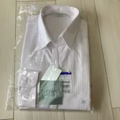 パーソンズ 11号 長袖スキッパーブラウス 洋服の青山　ホワイト地　ストライプのサムネイル