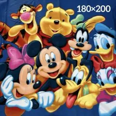 Disney ディズニーキャラクター　ブランケット　毛布　大判　180×200