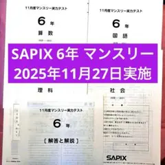 2025年最新】サピックス 4年 11月マンスリーの人気アイテム - メルカリ