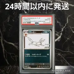 【PSA10】長場 ブラッキー プロモ