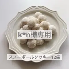 k*n 様専用⭐︎スノーボールクッキー48個セット