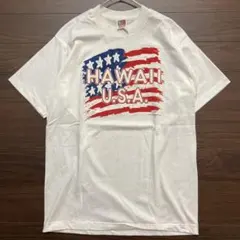 90s USA製 フルーツオブザルーム Tシャツ シングル 国旗 ハワイ M