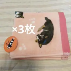 最終値下げ　タオル　タグ付き未使用　3枚セット