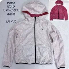 Item thumbnail for item c3e732a5-5437-4b97-a337-8d2f5277ec50