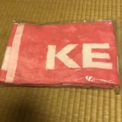 Item thumbnail for item 9b22138c-4f7f-4d38-9981-e88ae22e6604