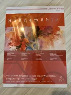 Hahnemuhle 余りまとめ売り 計21枚 - メルカリ
