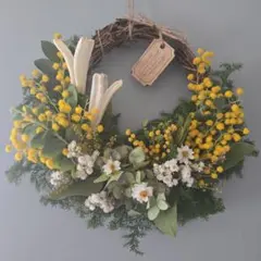 ★春爛漫〜３種のミモザの華やかリース★