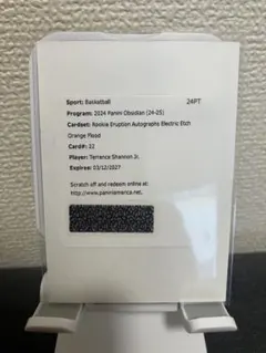 レデンプション Panini Obsidian Terrence Shannon