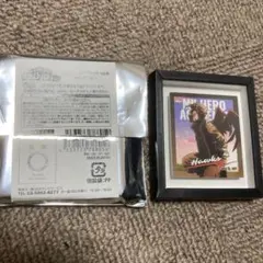 ヒロアカ TDフレームマグネットvol.6 ホークス