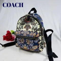 美品　COACH コーチ 　ボタニカル柄　F11809 総柄 ミニバックパック