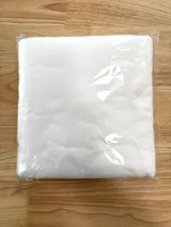 Item thumbnail for item 9a7b74c6-e1b8-49a6-a0e6-fb80989e93ee