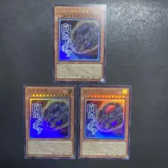 2026年最新】原始生命態ニビルの人気アイテム - メルカリ