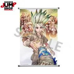 Dr.STONE 石神千空 冬のお出かけ タペストリー - メルカリ