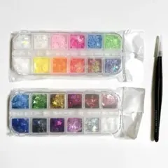 バタフライ ホログラム 24色セット ネイルパーツ レジン 蝶々 ピンセット付