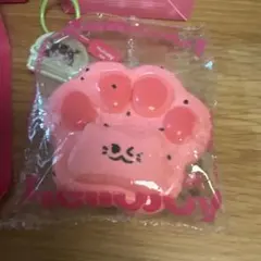 Mellojoy 癒しの猫爪 スイカ爪