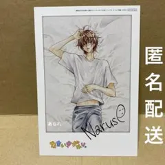 最終価格　なまいきざかり。　ミユキ蜜蜂　サイン　直筆サイン 2025年最新】ミユキ蜜蜂 サインの人気アイテム - メルカリ