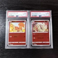 ポケカ リザードンVSレックウザ デッキセット ロコン キュウコンPSA10
