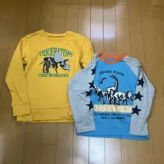 恐竜デザイン トレーナー 2枚セット トレーナー140、長T120