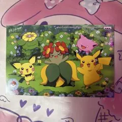 ポケモンカードゲーム サプライ 海外限定 サケブシッポ ラバープレイ