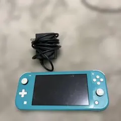 ち*さ様 〔美品〕Nintendo Switch Lite 本体 正規品