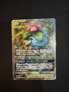 2026年最新】フシギバナ&ツタージャgx srの人気アイテム - メルカリ