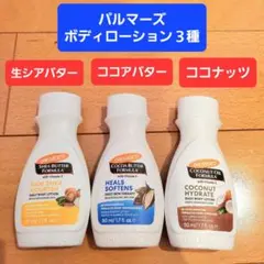 Item thumbnail for item 683865ba-d0f5-411d-ae86-589cfff67c68