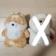 しばお！！！のサムネイル