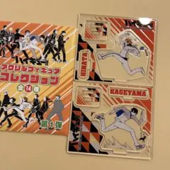 ハイキュー アクリルフィギュアコレクション 第8弾 白馬芽生 - メルカリ