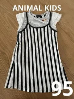 Item thumbnail for item e1dcc855-dee8-4d07-8753-9e1378d24ef1