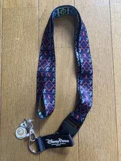 アメリカ限定　フロリダ ディズニー　ストラップ ピンバッジセット