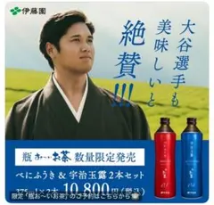 Item thumbnail for item 6e4e0ee3-fe83-4b49-9992-40941e1ed6dc