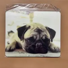 【新品】犬 マウスパッド　パグ　パソコン アクセサリー