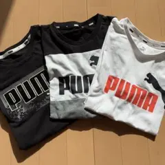 PUMA 半袖Tシャツ 150㎝　3枚セット