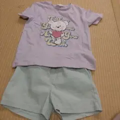 クマのイラスト Tシャツとショートパンツ セット 140cm~