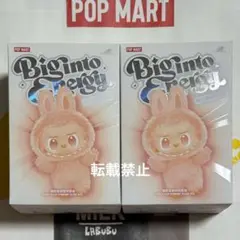 未開封 1箱 Labubu ラブブ エナジー キーホルダー ポップマート