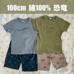 キッズ恐竜半袖Tシャツ　ステテコ　ハーフパンツ　100cm4枚まとめ売り　男の子のサムネイル