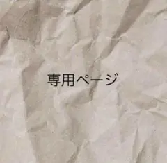専用ページ