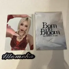❤︎HANA MOMOKA モモカ ランダムフォトカード・ステッカーセット