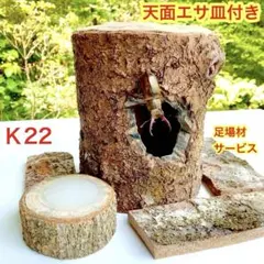 2026年最新】樹洞の人気アイテム - メルカリ