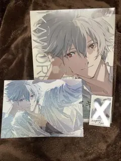 【新品未開封】渚カヲル写真集特典 特製大判ポストカード ホログラム