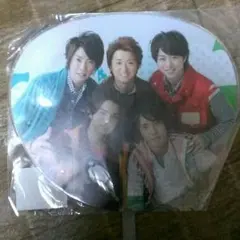 嵐 君と僕の見ている風景 ミニうちわ