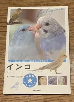 Item thumbnail for item 4a75908f-d6af-4afa-8ae2-e8650e273944