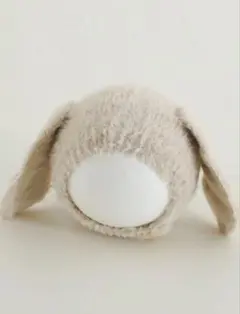 Item thumbnail for item 01fccbe3-f4f8-464a-863b-01524e718058